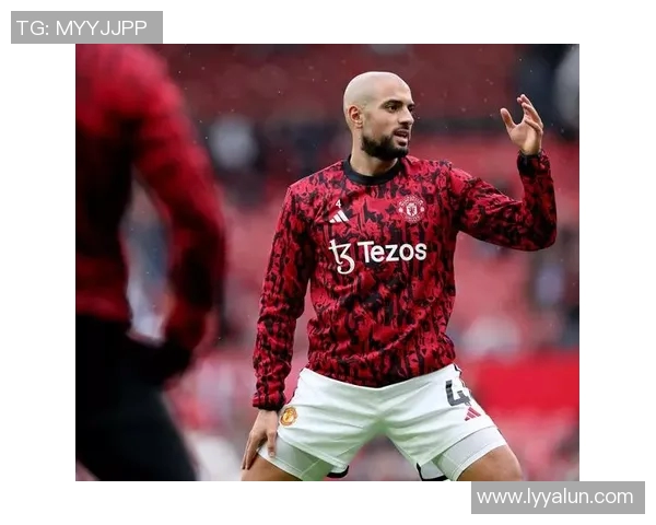 法国足球运动员的辉煌历程与对世界足球的影响分析 法国足球运动员的辉煌历程与对世界足球的影响分析