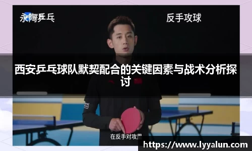 球速体育平台入口
