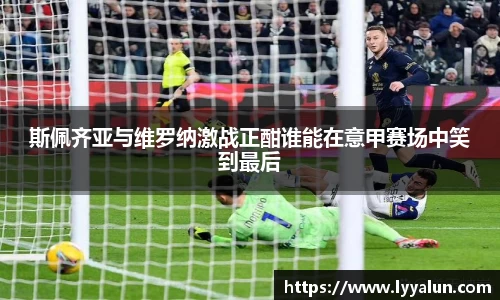 球速体育
