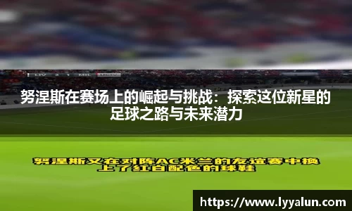 球速体育平台入口