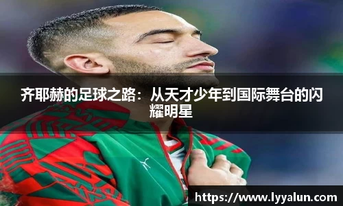 球速体育